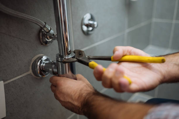 Best Plumbing Inspection Services  in , TN